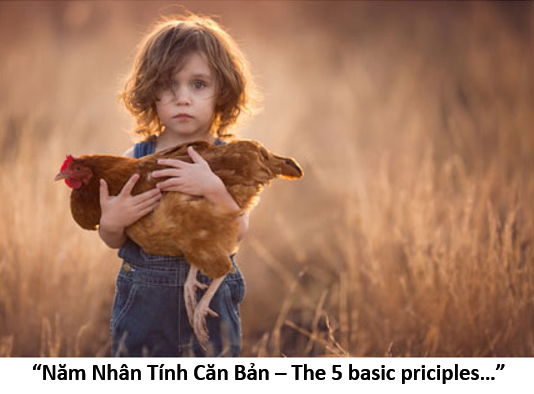 03. Basic principle 1