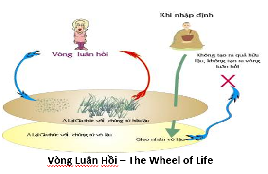11. Conscious 3 luân