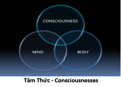 11. Conscious 1
