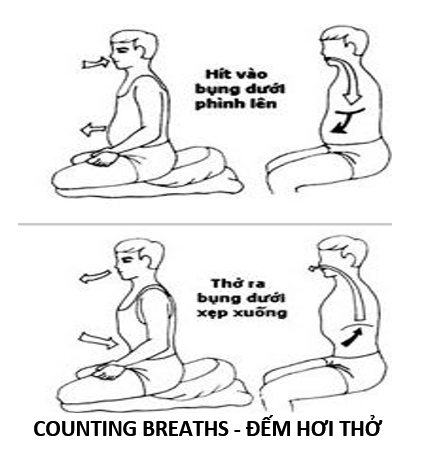 15. Meditation 5