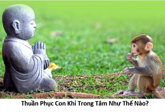 16. Tame monkey mind 1