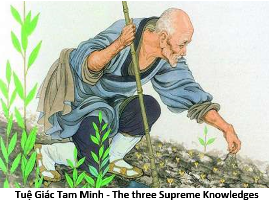 18. Supreme Knowledge 1