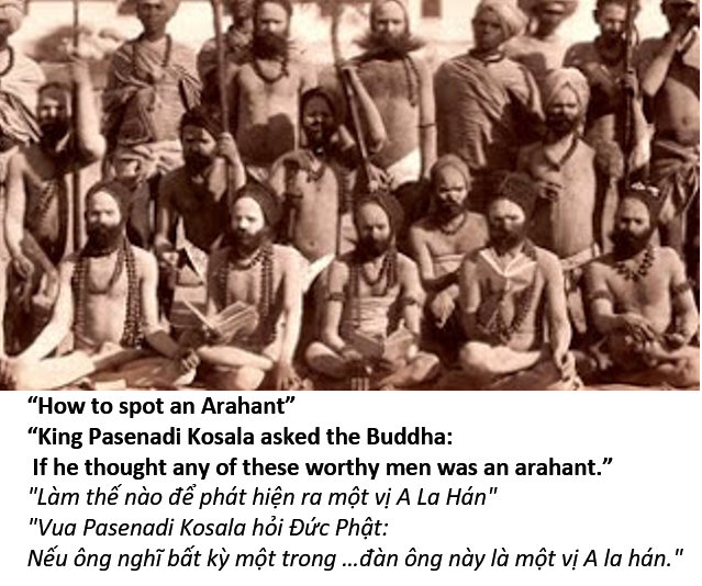 19. arahants 5