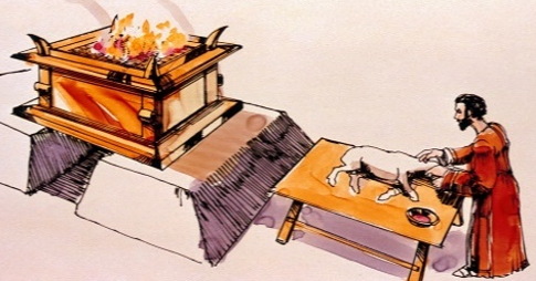 33. Dê cuời 3
