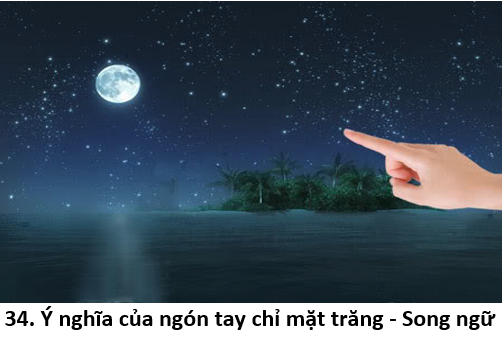 34. Tay chỉ 1