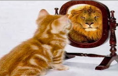 35. Trúng số 5 cat