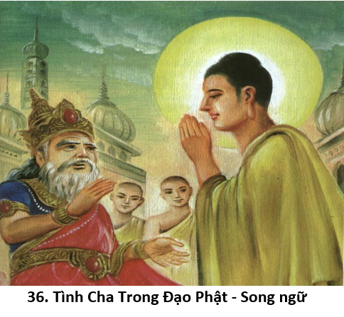 36. Tình cha 1