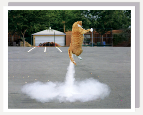 37. Trốn chết 9 rocketcat