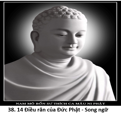 38. 14 điều 1 title