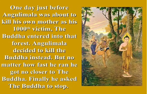 41. Phật đâu 10 angulimala