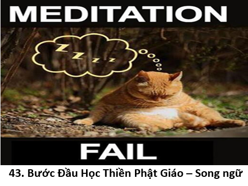 43. Buoc dau 1 fail