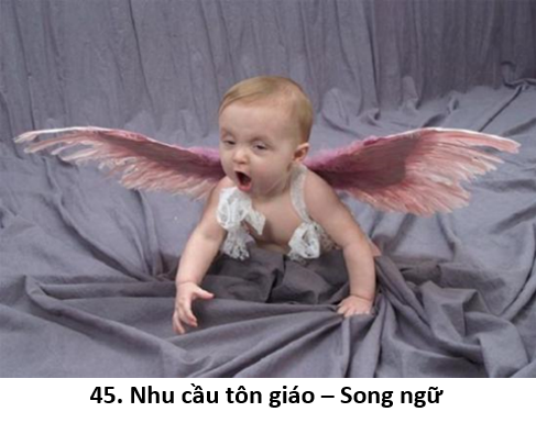 45. Nhu cầu 1
