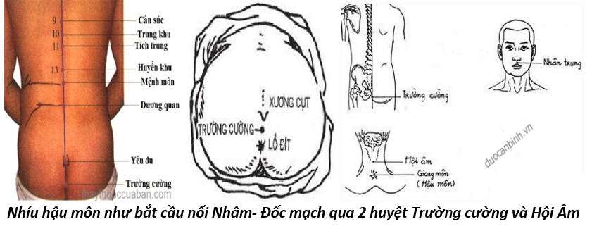 Vòng Tiểu Chu Thiên 12
