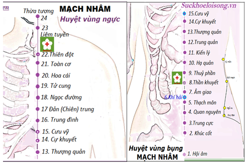 Vòng Tiểu Chu Thiên 17