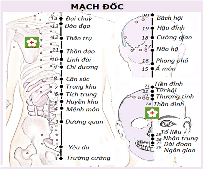 Vòng Tiểu Chu Thiên 19