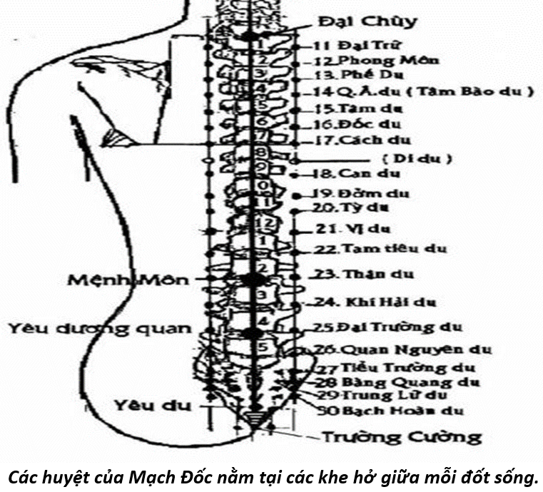 Vòng Tiểu Chu Thiên 20