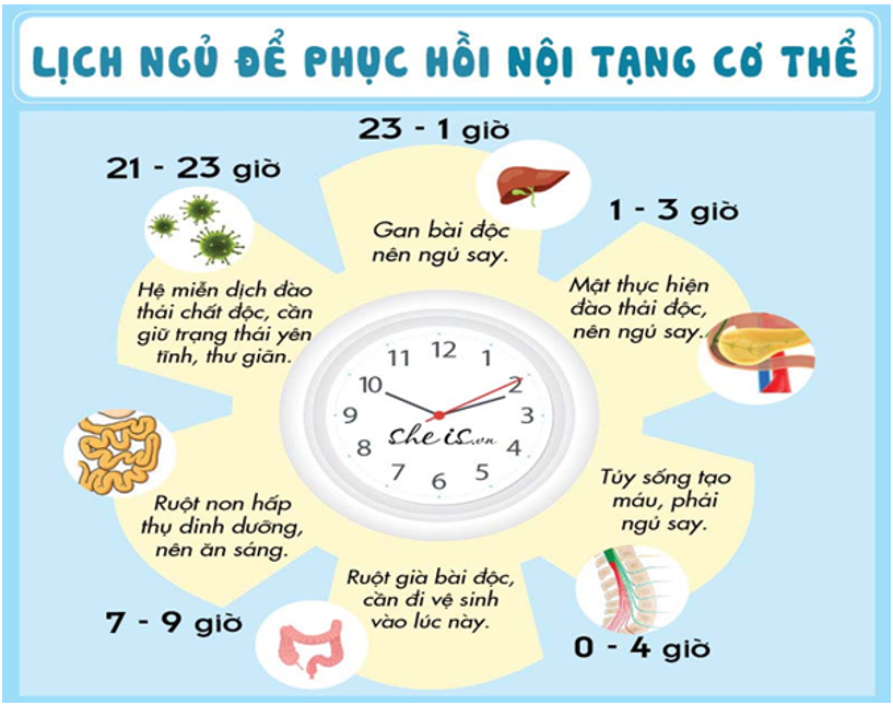 Vòng Tiểu Chu Thiên 26