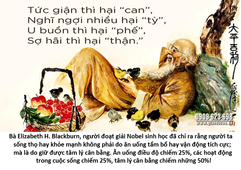 Vòng Tiểu Chu Thiên 28