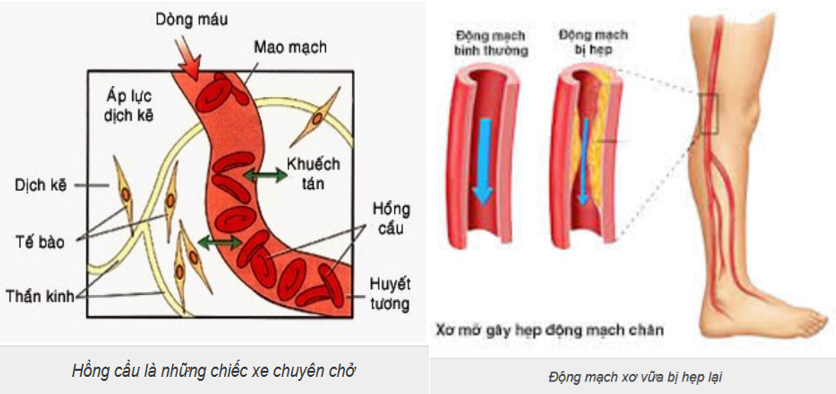 Vòng Tiểu Chu Thiên 5