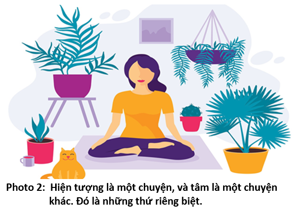 08 Hiểu về Tâm 2