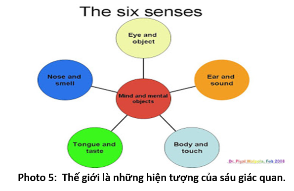 08 Hiểu về Tâm 5