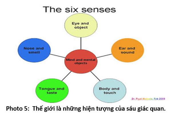 09. Thấy Biết Đúng 5