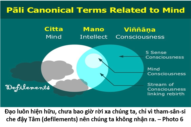 12. Tổ Tăng Xán 6