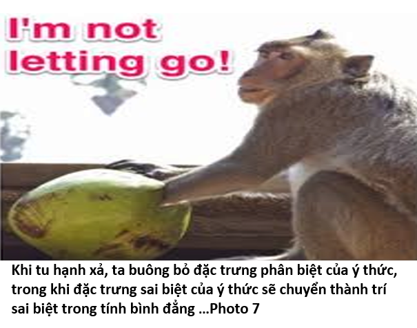 12. Tổ Tăng Xán 7
