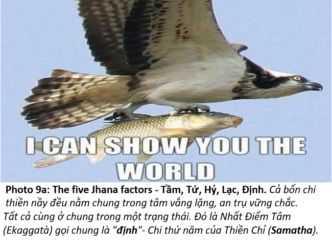 14. Hưởng Niềm Vui 9a