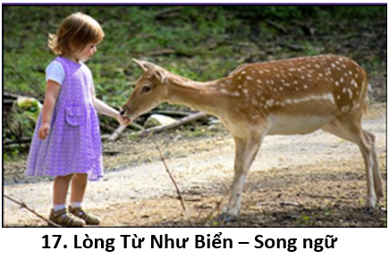 17. Lòng từ 1