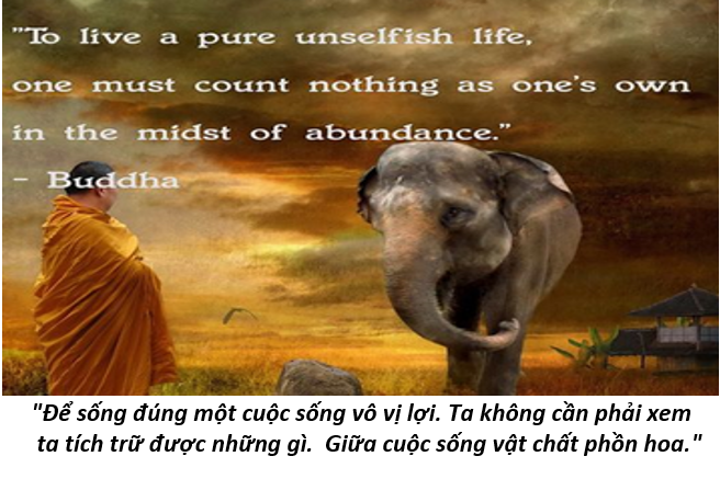 17. Lòng từ 4