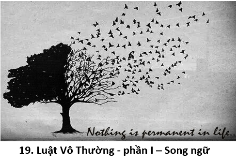 19. Vô thường 1 title