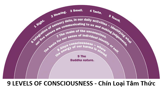 22. Chín tầng 4 chín loại