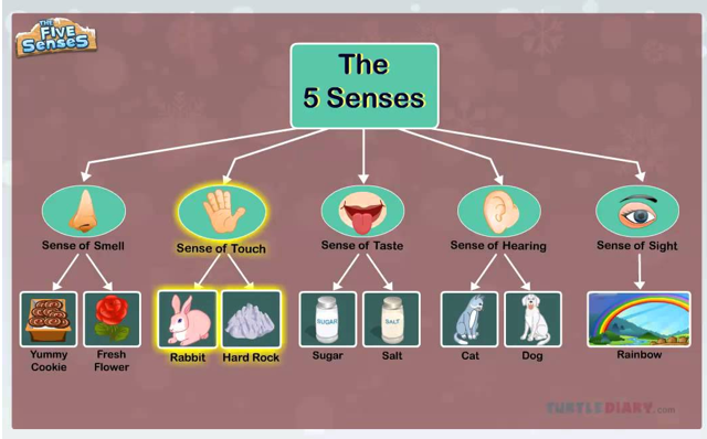 22. Chín tầng 5 5 senses