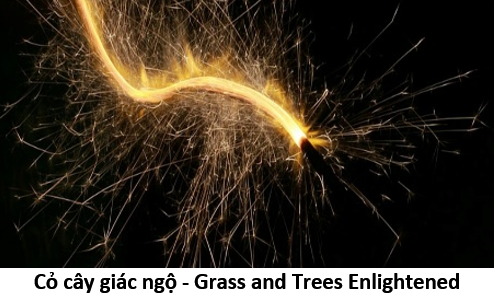46. Grass and tree 1
