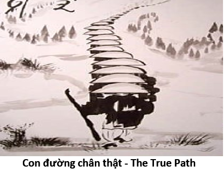 56. True path 1