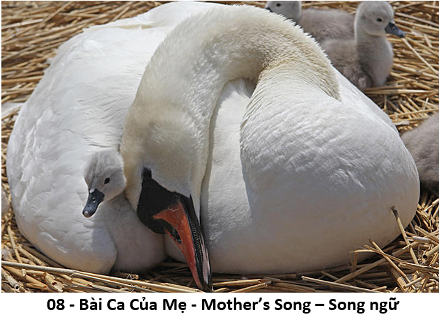 08 Bài Ca Của Mẹ 1