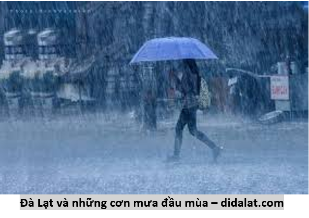 13 mưa xuân dalat 3