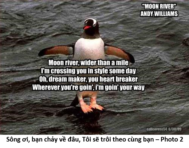 22 Dòng Sông Trăng 2