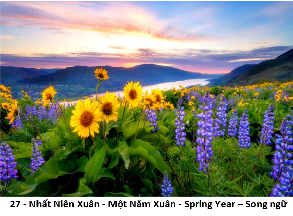 27 Nhất Niên Xuân 1