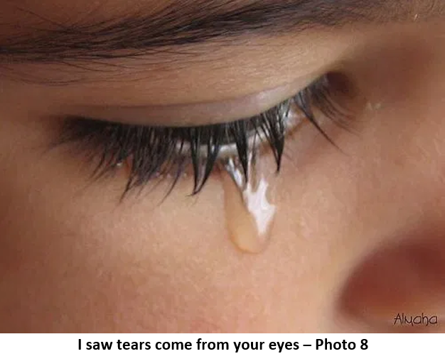 29. 16 tear 8