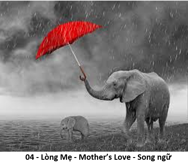 4 Lòng mẹ 1