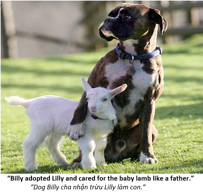5 Somebodys father 6 Billy